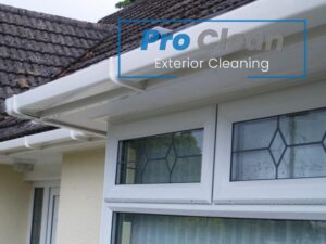 Pro Clean team performing fascia and gutter cleaning on a residential property in Cannock, ensuring clear and well-maintained gutters.