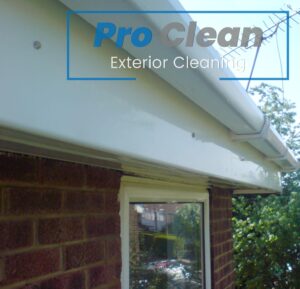 Pro Clean team performing fascia and gutter cleaning on a residential property in Cannock, ensuring clear and well-maintained gutters.