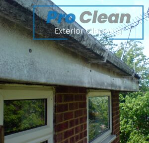 Pro Clean team performing fascia and gutter cleaning on a residential property in Cannock, ensuring clear and well-maintained gutters.